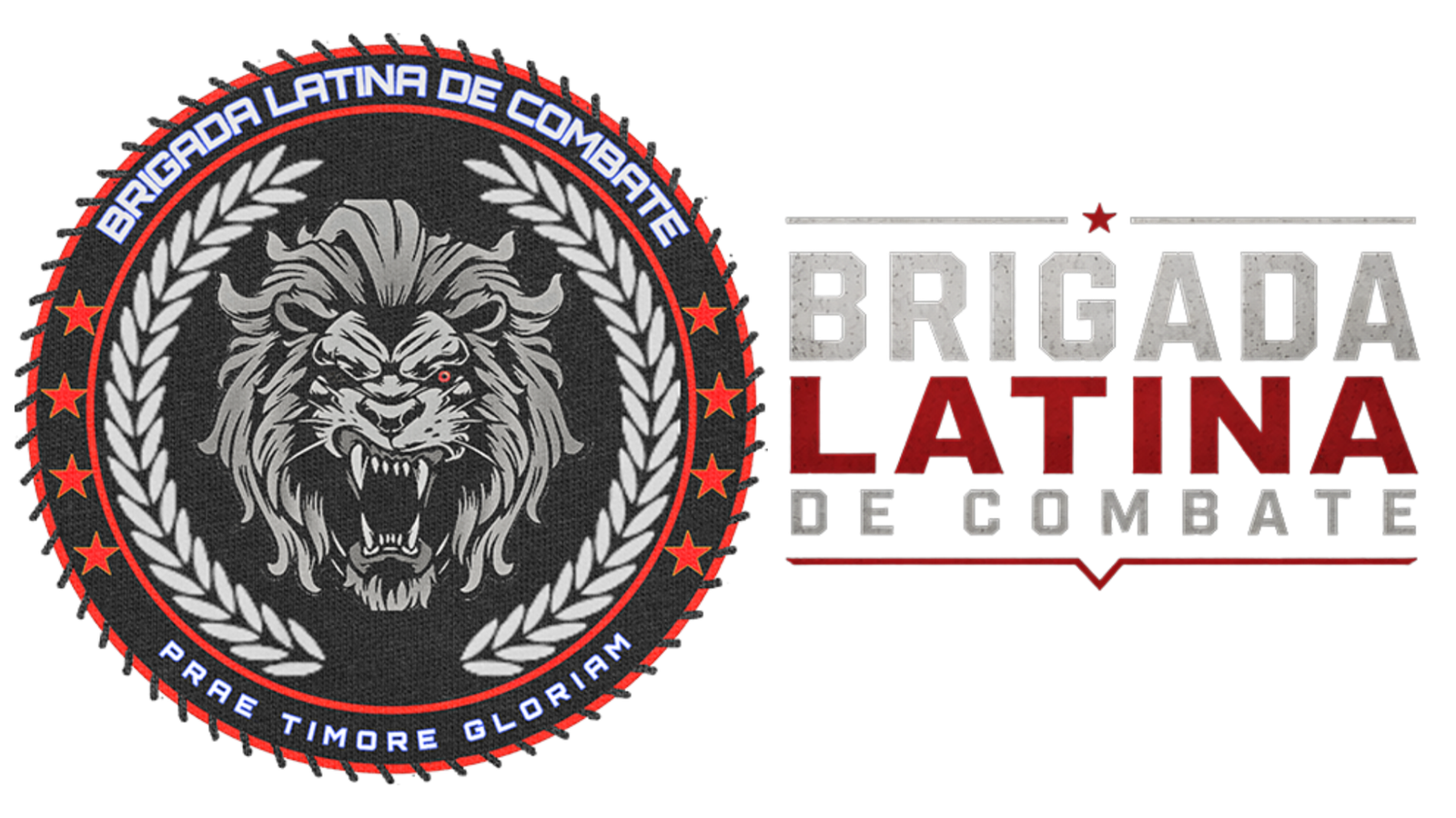 Brigada Latina de Combate